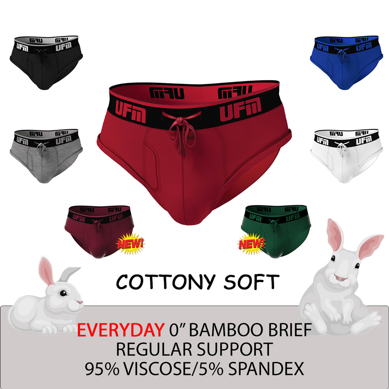 Briefs Viscose(Bamboo)-Spandex Everyday REG Support Underwear for Men